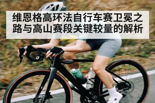 维恩格高环法自行车赛卫冕之路与高山赛段关键较量的解析